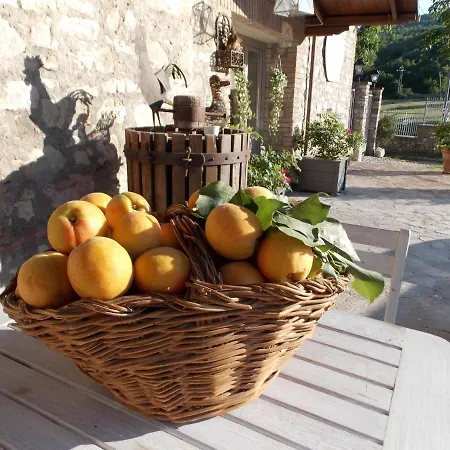 Nonna Rosa Bed and breakfast 3*