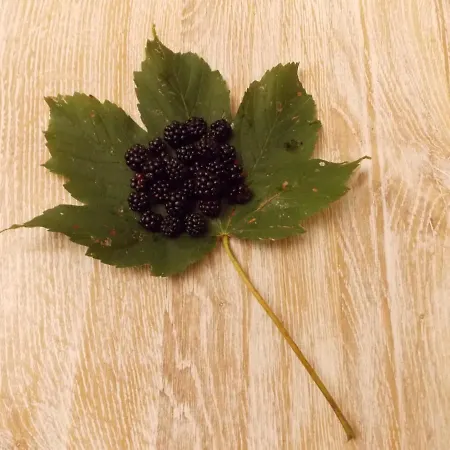 Nonna Rosa Bed and breakfast 3*