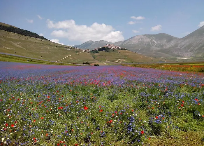 فندق مبيت وإفطار Nonna Rosa 3*