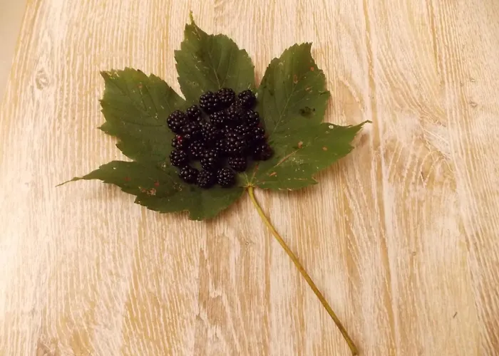 Nonna Rosa Bed and Breakfast 3*