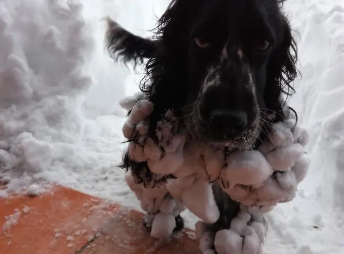 Nonna Rosa فندق مبيت وإفطار